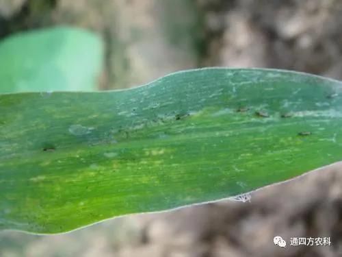 ���הQ����ô�k����ץ�o��Q��(hu��)Ӱ푮a(ch��n)��!!!